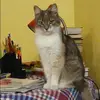 Отзыв от Клавдия Уткина